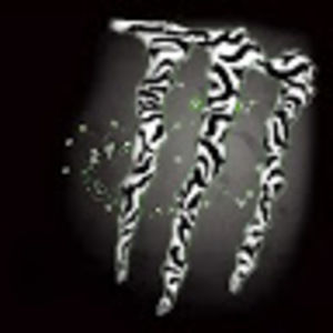 Meet your Posher, Wyatt